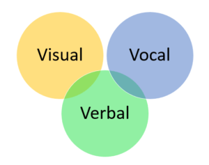 Verbal, Vocal, Visual